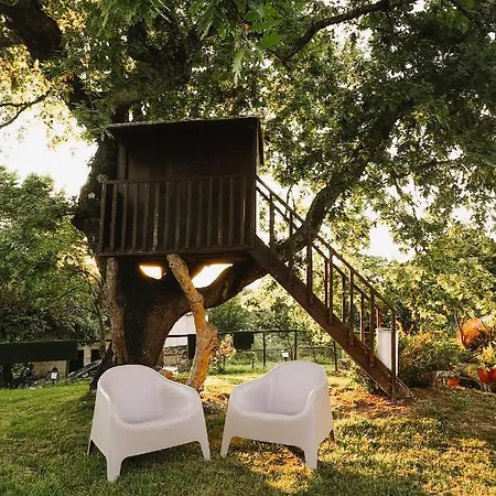 Quinta Dos Manteiros Com Piscina Coberta *