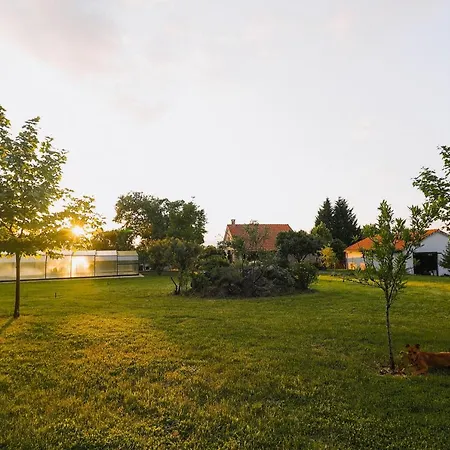 Quinta Dos Manteiros Com Piscina Coberta Prázdninový dům *